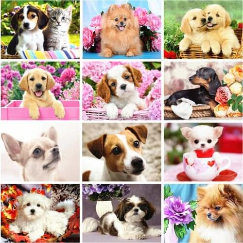 HUACAN Dog Diamond Painting 5D Animal Full Drill Square Diamond Art Embroidery Cross Stitch Home Decoration