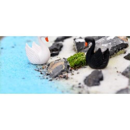 10 Pcs Black and White Feather Swan Micro Landscape Decoration Plant Ornaments Zakka Creative Gift Ornaments