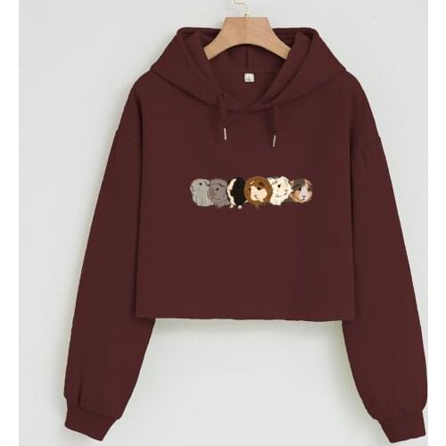 Cute Guinea Pig Print Hoodie Harajuku Cotton Graphic Sweatshirt Women Pastel Clothes Crop Tops Aesthetic Drop Shoulder Hoddies
