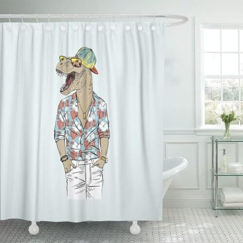 Anthropomorphism Dinosaur Dressed Up in Summer Anthropomorphic Animals Character Shower Curtain Waterproof Polyester Fabric