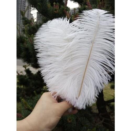 L beautiful natural 10 pcs 15-20cm ostrich feather, diy decorative accessories