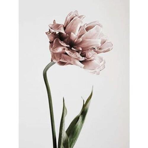 5D DIY Full Square/Round Diamond Painting Elegant Flowers Diamond Embroidery Floral Picture Wall Decoration Hobby Craft