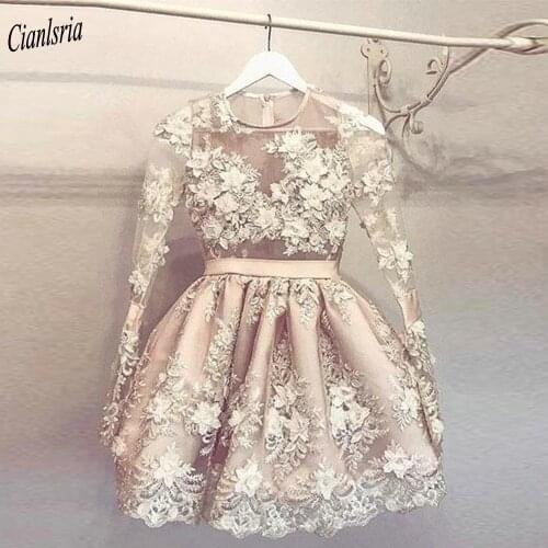 Gorgeous Illusion Long Sleeve Floral Appliques Mini Homecoming Dresses O-Neck Sashes Short Cocktail Graduation Dress