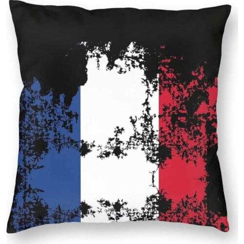 France Flag Graphic Design French Fans Square Pillow Case Cushions for Sofa Custom Cushion Covers