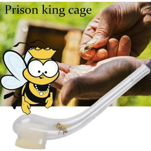 3PCS Bee Queen King Rearing Catcher Plastic Bees Tools Equipment Apicultor Catch Device Seize Tool Great Bee Beekeeping Supplies