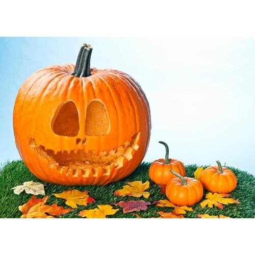 Halloween cute pumpkin Baby pumpkin holiday photo background children photo background