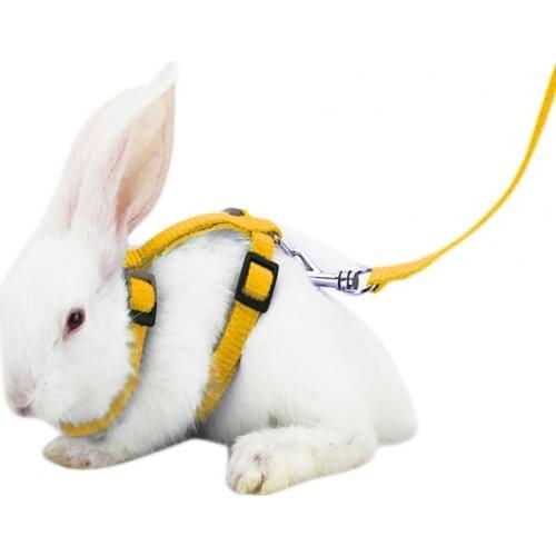 Adjustable Soft Polyester Small Pet Rabbit Nylon Running/Walking Harness Leash Guinea Pig Lead Rope Small Pets Supplies Products