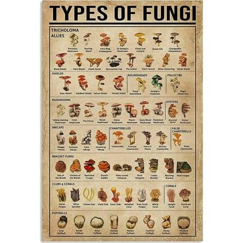Types of Fungi Metal Tin Sign Retro Kitchen Garden Restaurant Farm Shopping Mall Bar Cafe Man Cave Farm Wall Decoration Iron