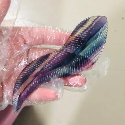 Natural Fluorite Crystal Feather Home Fengshui Decoration Reiki Stone