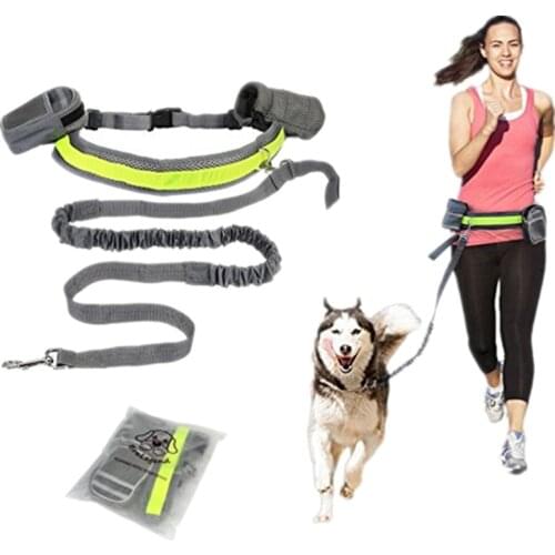 Hand Free Elastic Puppy Dog Leash Adjustable Padded Waist Reflective Running Jogging Walking Pet Lead Belt With Pouch Bags Hot