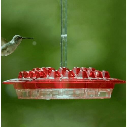 Portable Good Pet Feeding Water Container Bird Water Container Attractive for Household
