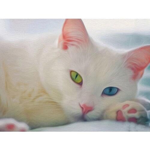 SenyuArt Full Round Square Drill Diamond Painting Rhinestones Embroidery 5d DIY Mosaic Home Decor Animal Cat Painting By Numbers