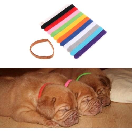 12Pcs/Set Pet Collars Different Colors Soft Identification Mark For Cats Dogs Puppies Kitty Kitten Collars Leads