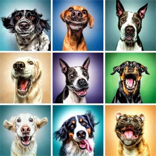 Evershine 5D DIY Diamond Painting Dog Embroidery Full Square Rhinestone Animal Cross Stitch Mosaic Full Layout Home Decoration