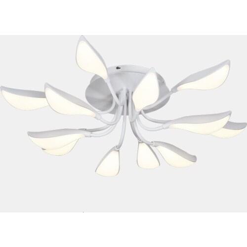 Contemporary House Luxury Decor Multi Double Color Ceiling Lights Indoor Modern Led Living Room Lighting