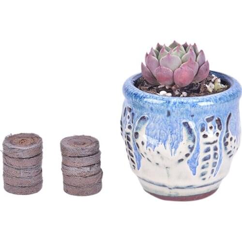 5PCS 30mm Peat Pellets Seed Starting Plugs Seeds Starter Pallet Seedling Soil Block Professional Tool Easy To Use