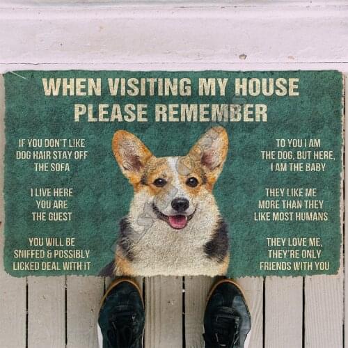 3D Please Remember Corgi Dogs House Doormat Indoor Doormat Non Slip Door Floor Mats Decor Porch Doormat