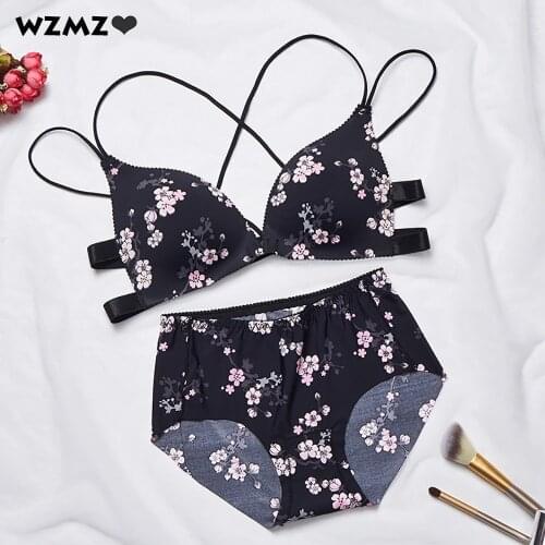 Sexy Lingerie Set Cross Straps Beauty Back Push Up Bra Female Print Underwear Set Front Buckle Bras for Women Wing Padded Tops