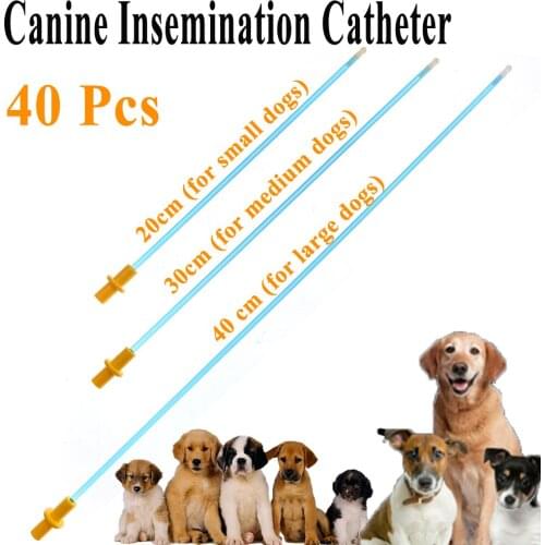 40PCS Artificial Insemination Pet Dog Disposable Vas Deferens Pipe Canine Sperm Injection Semen Deposition Tube Husky Corgi