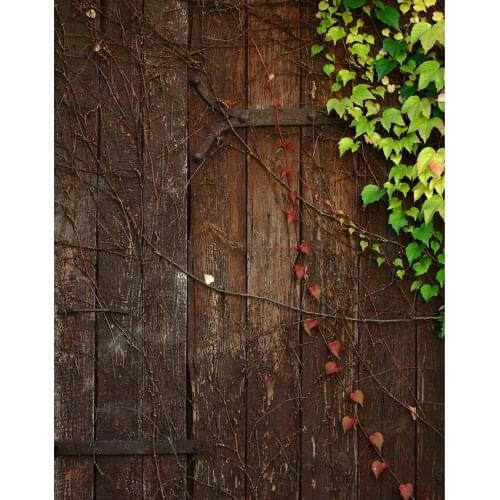 TR 5x7FT Green Leaves Branch Retro Wood Door Wood Board Floor Custom Photo Studio Backdrops Newborns Baby Kids Backgrounds Vinyl
