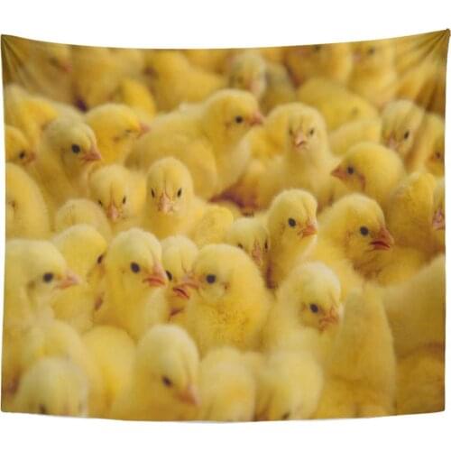 Yellow Baby Lot of Little Chickens in Farm Hatchery Tapestry Home Decor Wall Hanging for Living Room Bedroom Dorm 50x60 inches