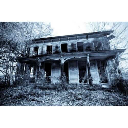 Old Haunted House In The Woods Photography Backgrounds Vinyl cloth High quality Computer print wall backdrop