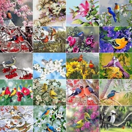 RUOPOTY Unframe Oil Painting By Numbers Set Birds DIY Home Decoration Paint By Numbers On Canvas Animal Drawing By Numbers Gift