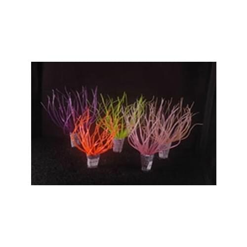 Xiongfa Equipment For Aquariums