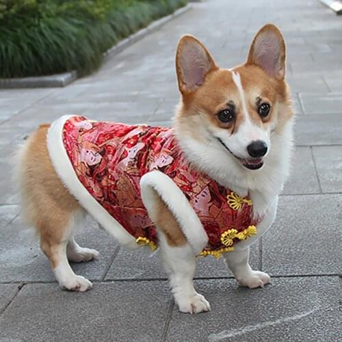 Chinese style Winter Warm Pet Clothes for Small Dogs Cats Coat Jacket Puppy Clothing Outfits Chihuahua Pug Costume