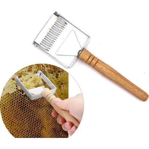 One pcs honey uncapping bee scraper beekeeping stainless steel wooden handle fork honeycomb cutting tools apicultura equipment