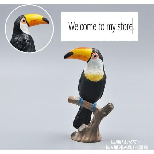 Pvc figure model toy toucan