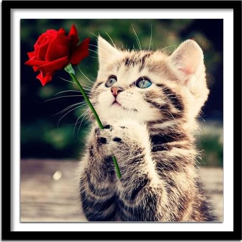 Diamant painting diamond painting full square Diamond embroidery animals cat diamond round drill 449DD 5d diy