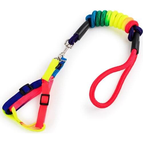 Colorful Dog Leash and Harness Set for Small and Medium Dogs Nylon Walking Lead Pet Supply Soft Chest Harness Puppy