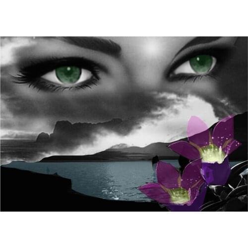 5D Diy Diamond painting Abstract Black And White Art full square round Diamond embroidery woman eyes flowers Cross stitchZP-3791
