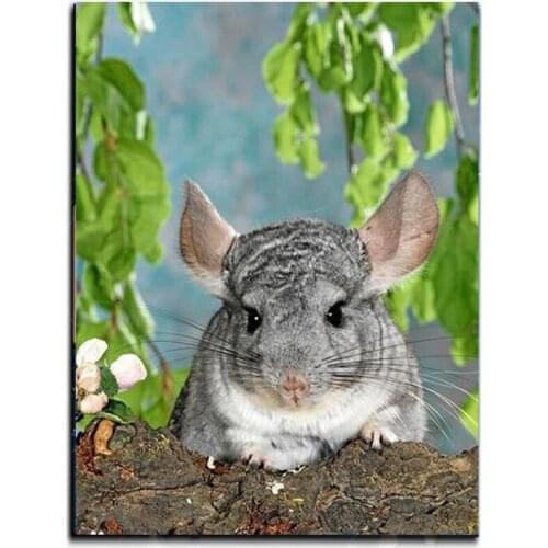 5d Diy Resin Round Square Drill Diamond Painting Chinchilla lanigera Molina Handcraft Diamond Embroidery Diamond Mosaic JS4507