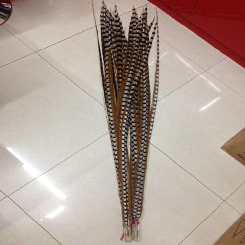 Hot sales! 10pcs Rare 140-150 cm/56-60inches Natural copper chicken feathers decoration diy collection stage performances