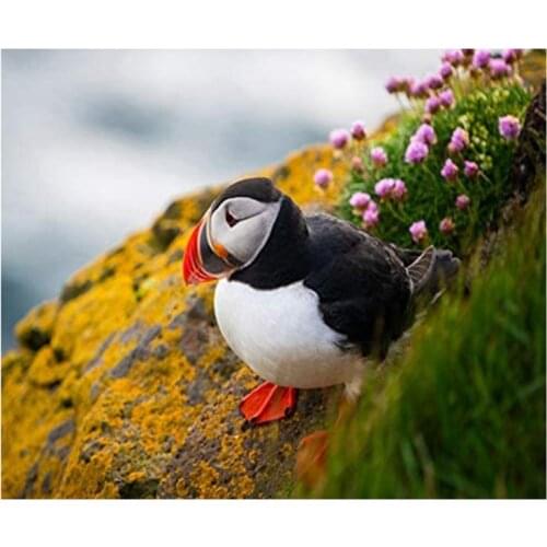 Round Diamond Full Diamond Diamond Painting Set Living Room Dining Room Decoration Mural Pacific Puffin