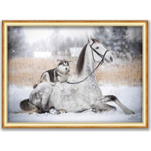 Animal Dog Husky DIY Embroidery Cross Stitch 11CT Kits Needlework Craft Set Cotton Thread Printed Canvas Home Decoration Design