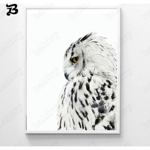 Realistic Owl Animal Canvas Painting Wall Art Owl Sharp and Yellow Eyes Posters and Prints Modern Wall Picture for Bedroom Decor