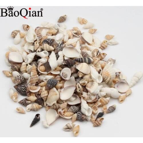 20 Gram 5-15mm Mixed Natural Sea Shells Coquillage Beach Decor Craft Diy Home Marine Style Fish Tank Conch Embellishment
