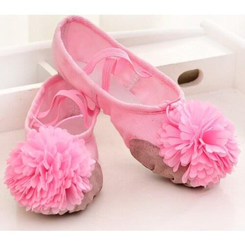 Girl Ballet Dance Soft Bottom Shoe Children Practice Shoe Cat Claw Shoes Student/woman dance shoe 22-41yard 4colors