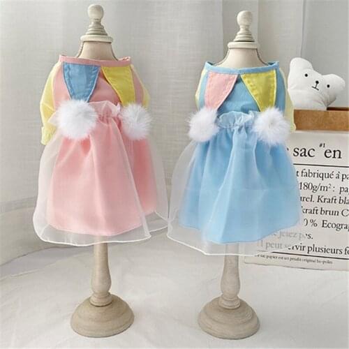 2020 New Summer Dog Dress Cat Skirt Puppy Clothes Small Dog Clothing Dresses Yorkshire Poodle Pomeranian Schnauzer Pet Costume