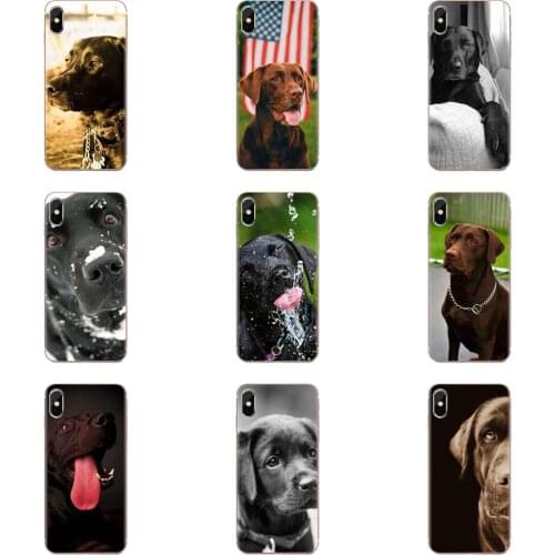 Soft TPU Wholesale For Huawei Honor V30 20 Pro Mate 30 Pro Lite 20s NOVA 6 SE 5 P40 p30 lite Pro The Labrador Retriever Dogs