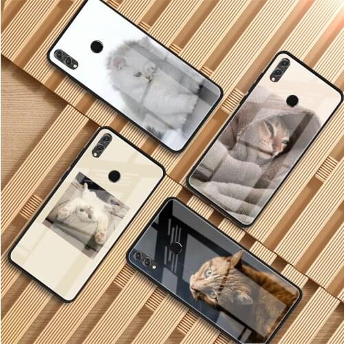 Cute Cat Tempered Glass Phone Case For Huawei P20 P30 P40 P40 Lite Pro Psmart Mate 20 30 Cover Shell