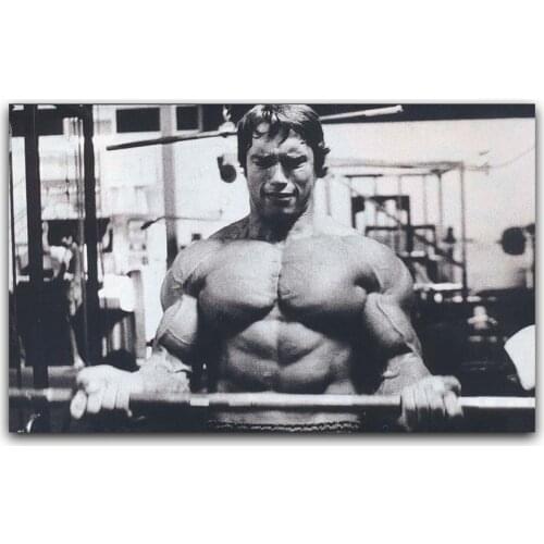 Arnold Schwarzenegger Bodybuilding Motivational Art Silk Poster Print Fitness Inspirational Picture for Room Wall Decor