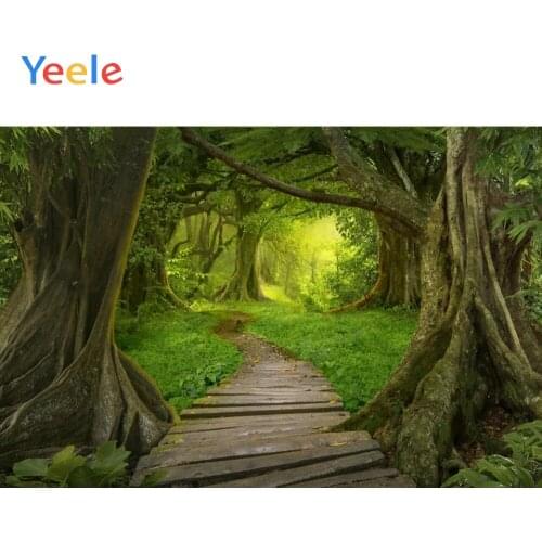 Summer Tropical Forest Jungle Tree Dreamy Nature Scenery Baby Photography Backdrop Vinyl Background For Photo Shoot Photophone