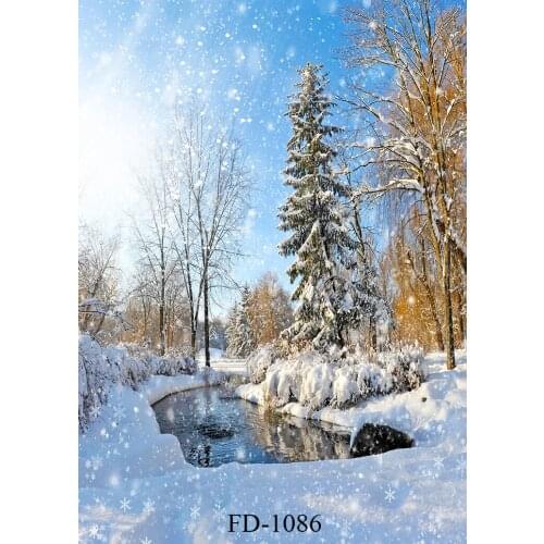 Vinyl winter snow sunshine Forest Park river snow scenery beautiful wedding photos children in the background