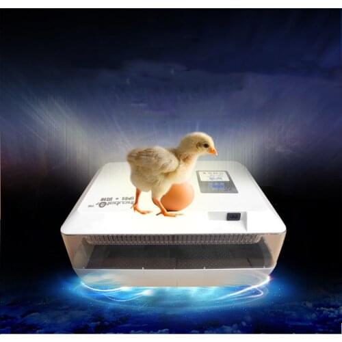 1pc Mini Egg Incubator For 60 Chicken Eggs, 40 Duck Eggs, 90 Quail Eggs