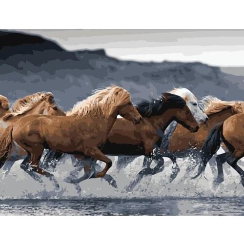 MaHuaf-j452 watching wild horses run frameless pictures painting by numbers diy digital canvas oil painting home decor