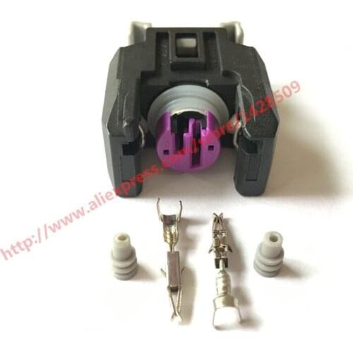 10 Sets 13816706 2 Pin Delphi Sealed Fuel Injector Connector For Buick Chevrolet The Great Wall